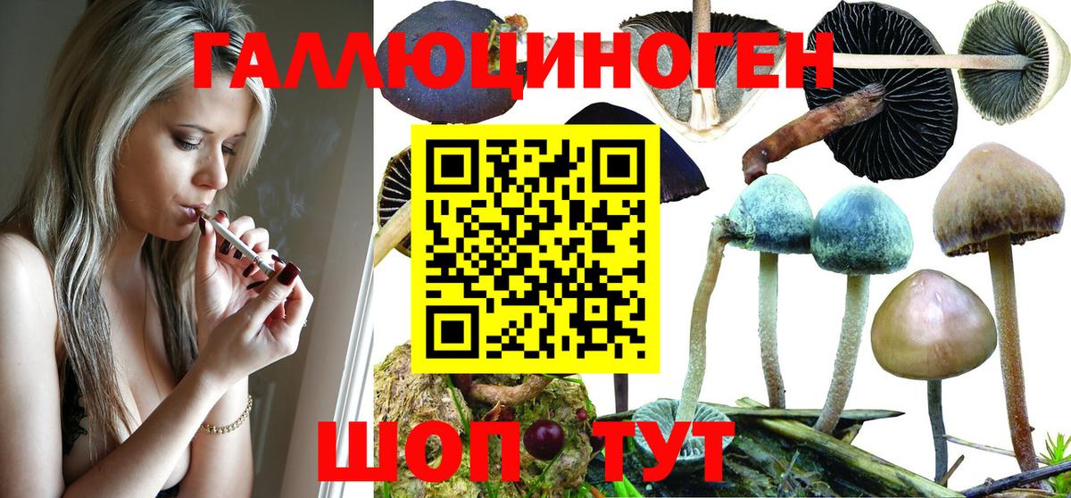 цена   Вход с VPN  Киселёвск  Галлюциногенные грибы Magic Shrooms 