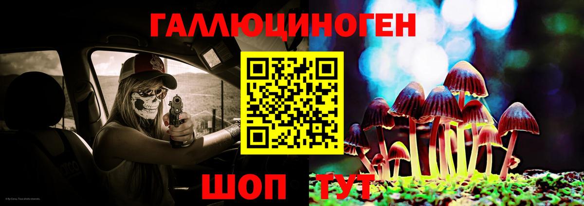 Псилоцибиновые грибы Cubensis Киселёвск